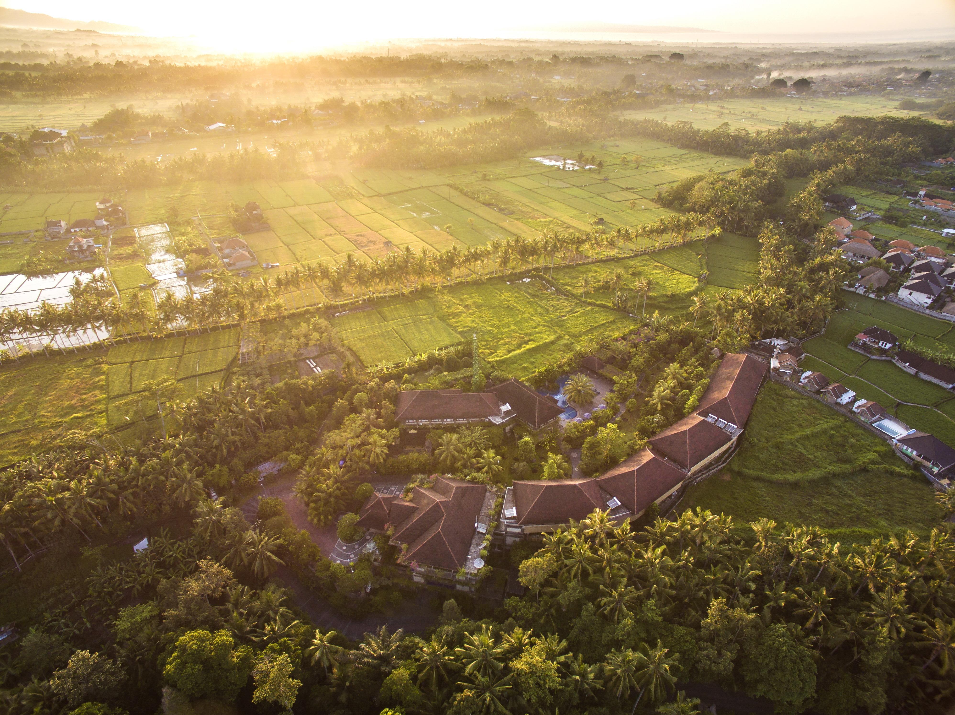 Bhuwana Ubud Hotel And Farming Kültér fotó