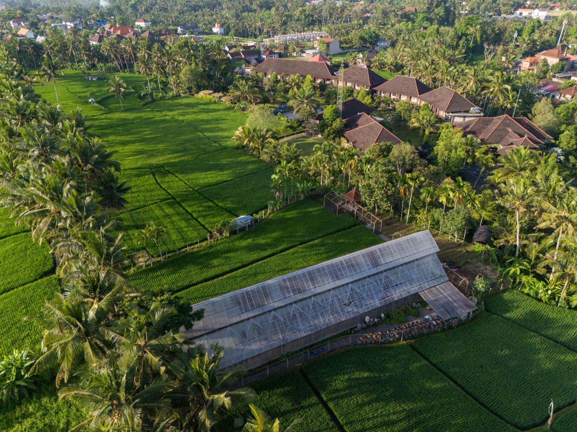 Bhuwana Ubud Hotel And Farming Kültér fotó