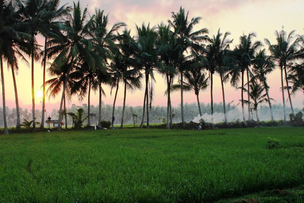 Bhuwana Ubud Hotel And Farming Kültér fotó
