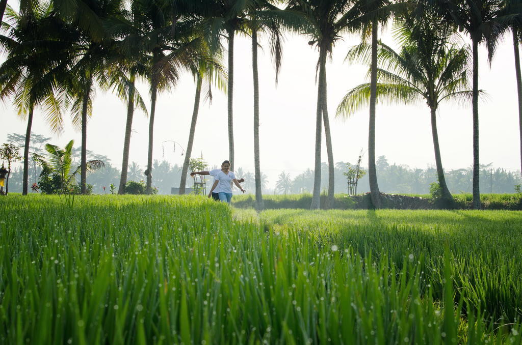 Bhuwana Ubud Hotel And Farming Kültér fotó